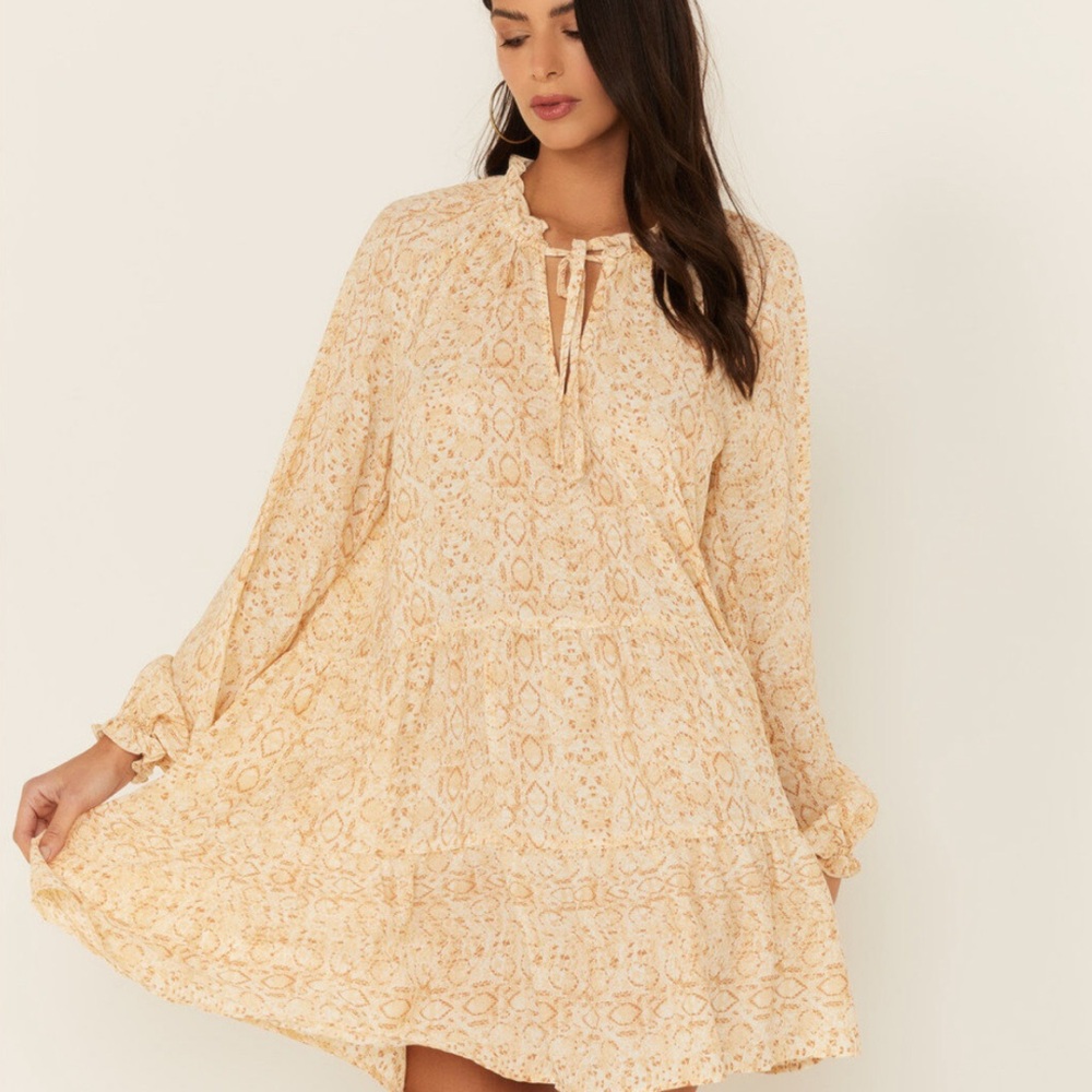 Show me your mumu Birdie tiered Ruffle mini dress